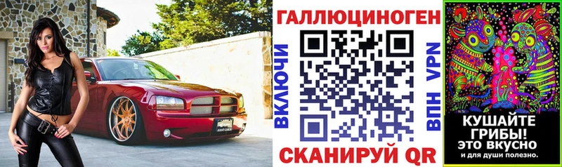 Псилоцибиновые грибы Cubensis Оса